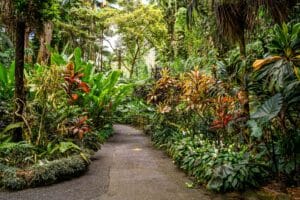 Big Island Botanical Gardens
