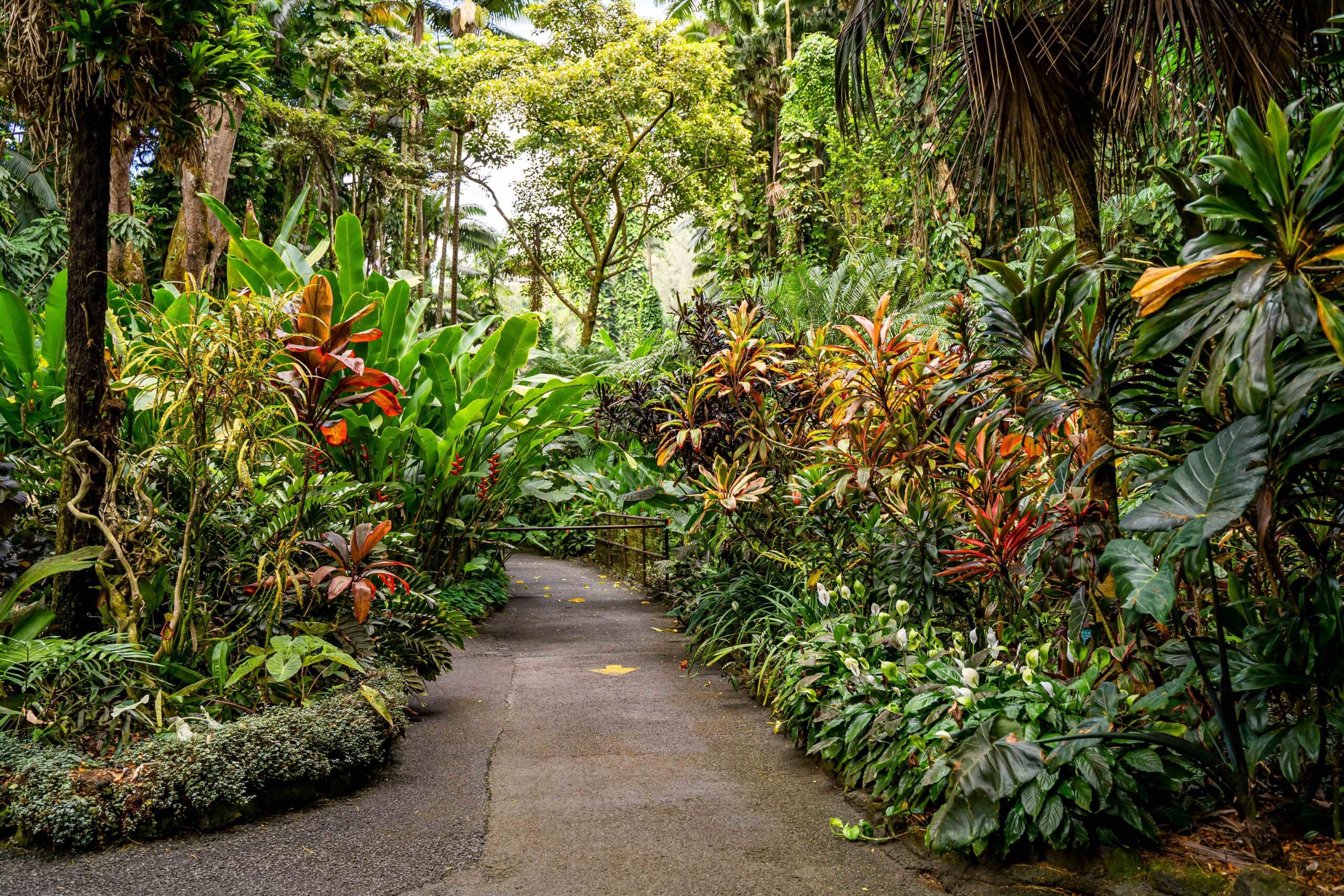 Big Island Botanical Gardens