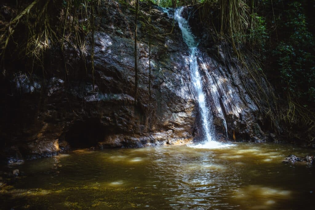kipauai ranch atv tourshateii hawiia hawaii. hawaiii hawiaii hwaii hawaai hawall hawii hawwai hawwaii hawwii hiwaii haiwaii hawia hawwi 2149958331
