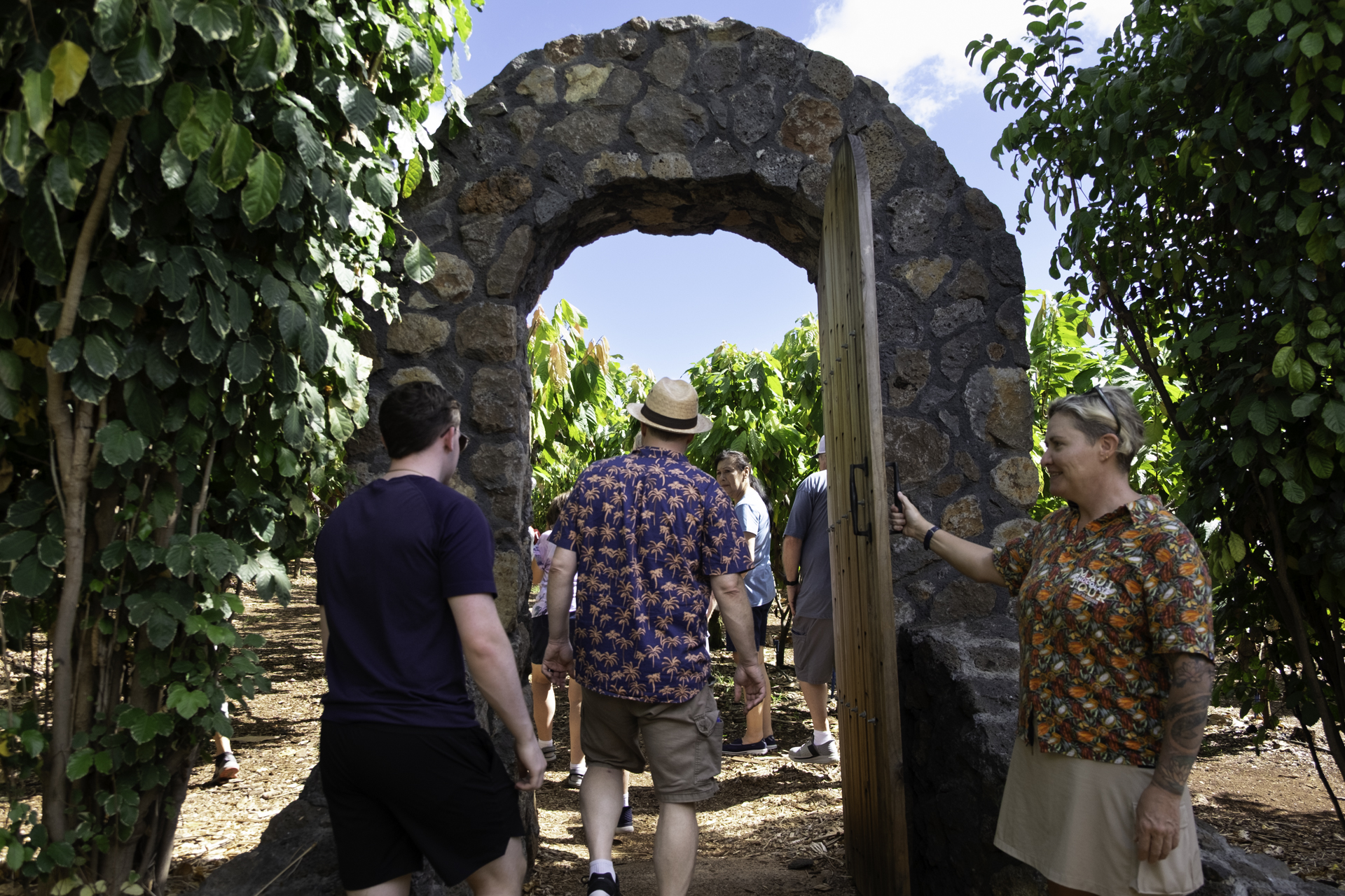 A woman opens a door to a chocolate orchard.