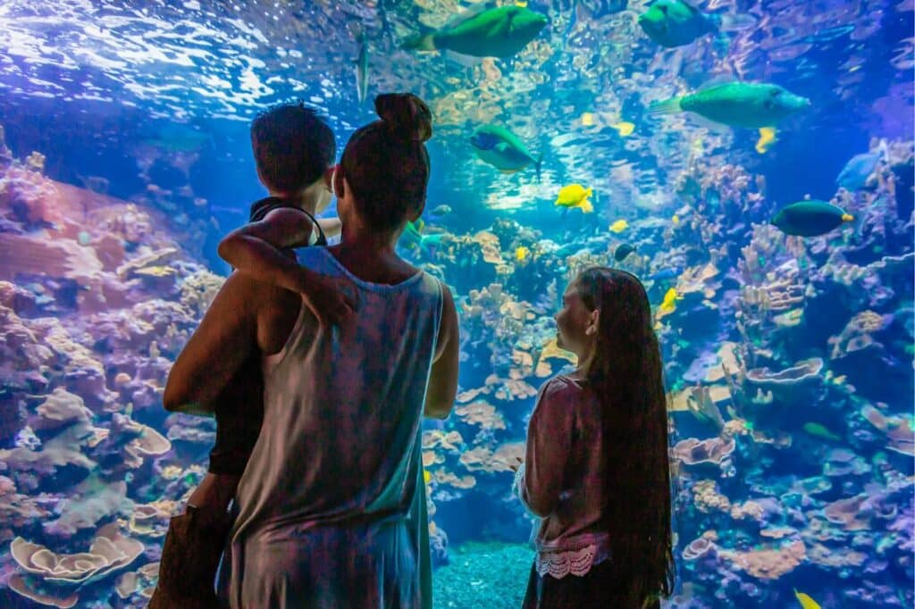 Maui Ocean Centerhateii hawiia hawaii. hawaiii hawiaii hwaii hawaai hawall hawii hawwai hawwaii hawwii hiwaii haiwaii hawia hawwi