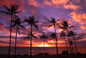 10 Things to Do on Molokai 18245005