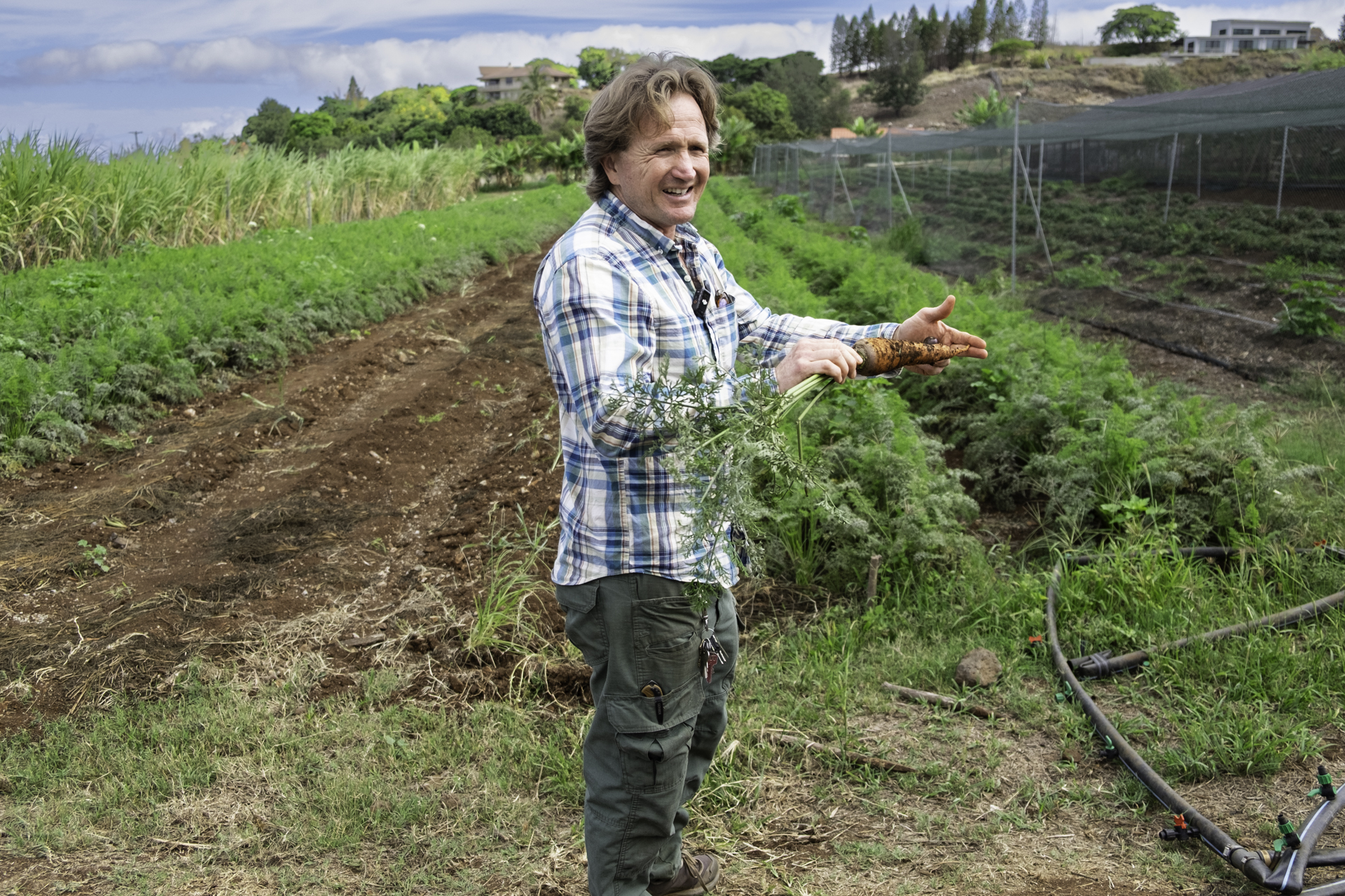 A farmer holding a carrot freshly pulled from the field.