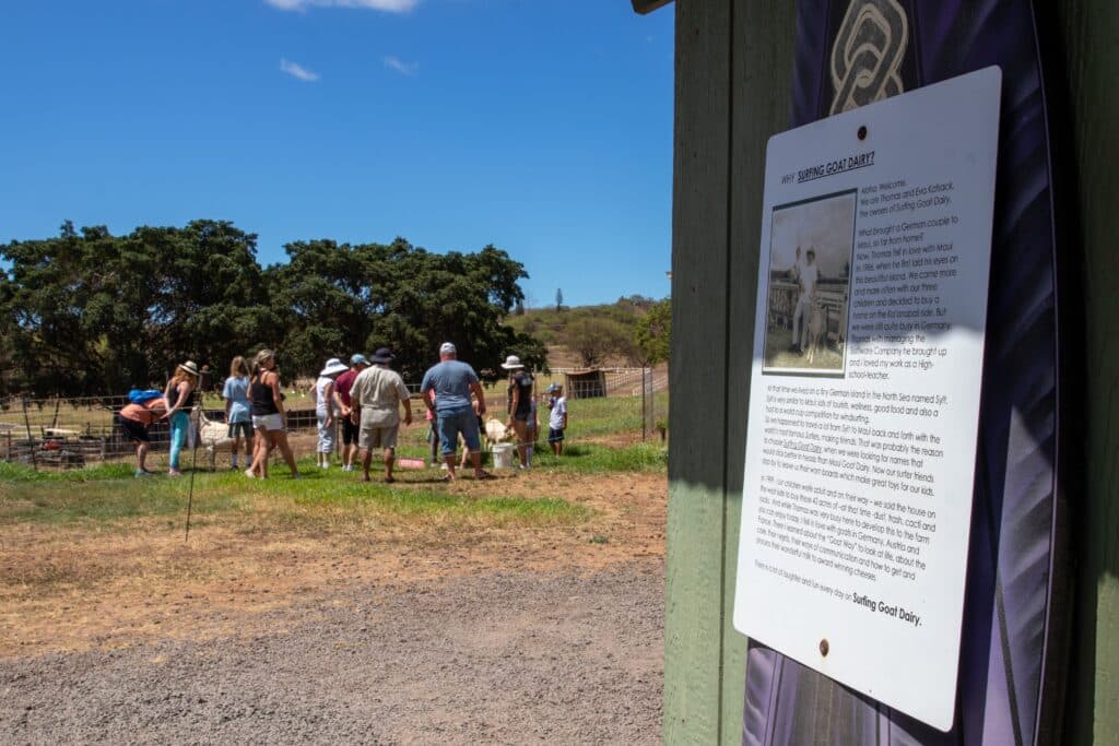 Surfing Goat Dairyhateii hawiia hawaii. hawaiii hawiaii hwaii hawaai hawall hawii hawwai hawwaii hawwii hiwaii haiwaii hawia hawwi 2177163983