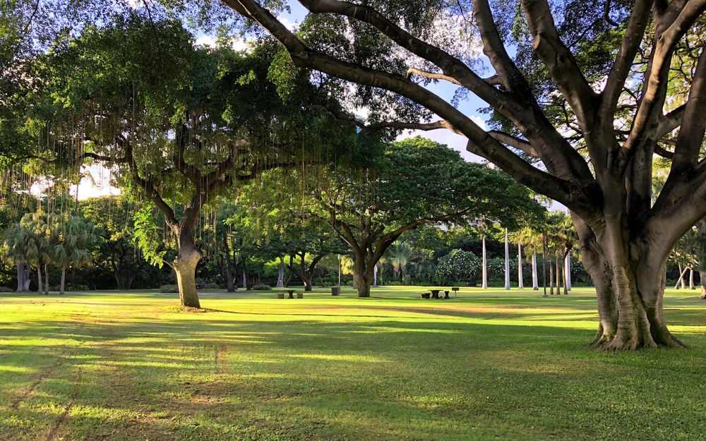 Fort DeRussy Beach Park Waikiki, Honolulu, Oahu Island