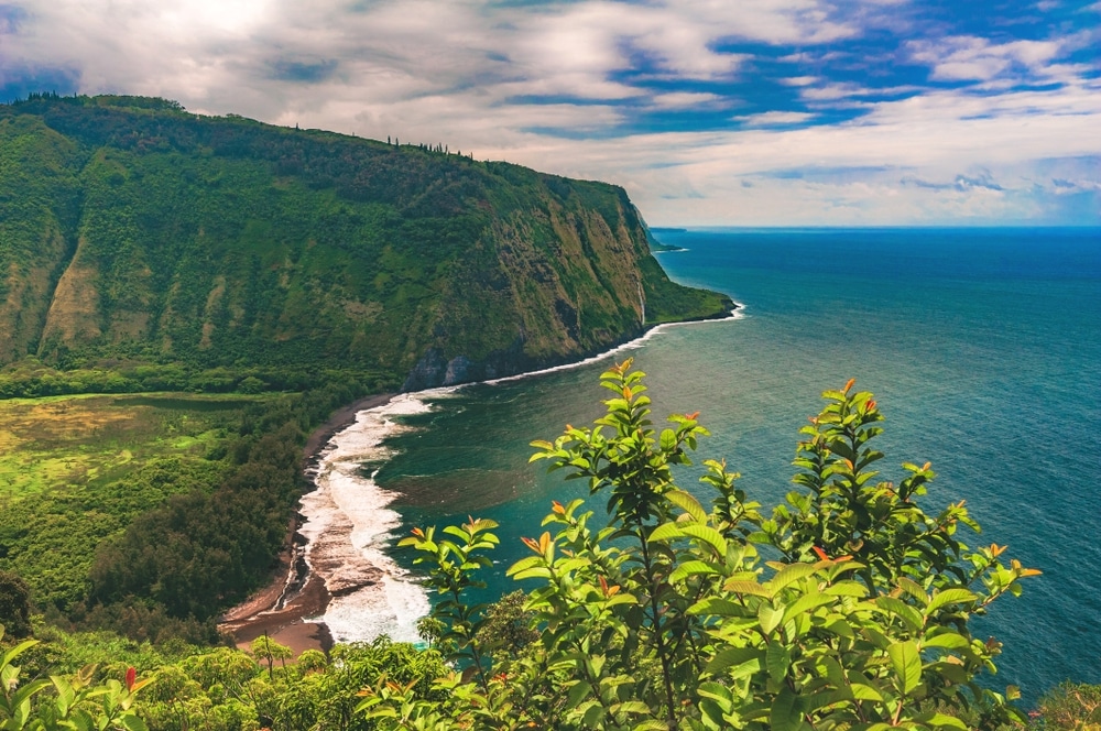 Waipio Valley Lookout on the Big Island of Hawai'i