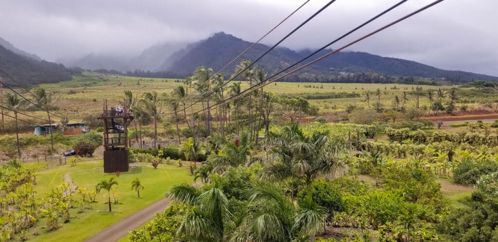 Zipline view over Maui plantation from Hawaii vacation travel.hateii hawiia hawaii. hawaiii hawiaii hwaii hawaai hawall hawii hawwai hawwaii hawwii hiwaii haiwaii hawia hawwi 1408189394 