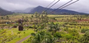 Zipline view over Maui plantation from Hawaii vacation travel. hateii hawiia hawaii. hawaiii hawiaii hwaii hawaai hawall hawii hawwai hawwaii hawwii hiwaii haiwaii hawia hawwi 1408189394